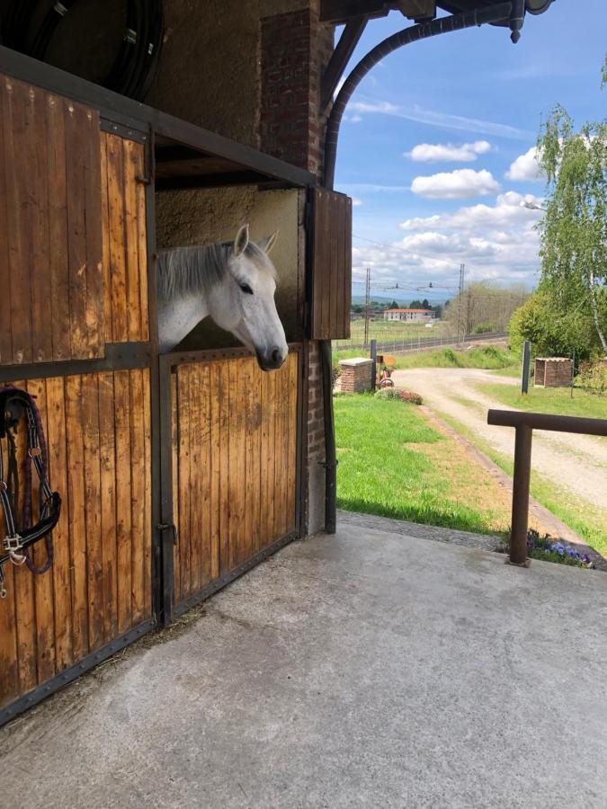 B&B Tenuta Legnate Sesto Calende Eksteriør billede